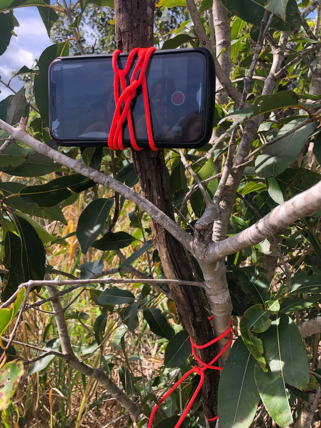 iPhone tied to a tree branch with red cord and a stick