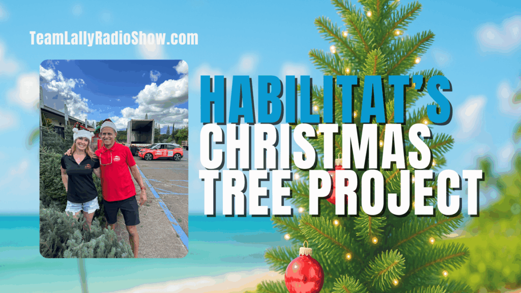 Header Image Habilitat Adrienne Lally & Attilio Leonardi